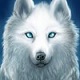   WhiteSheWolf